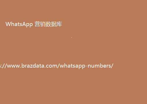 WhatsApp 营销数据库8