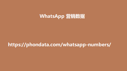 WhatsApp 营销数据