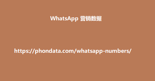 WhatsApp 营销数据